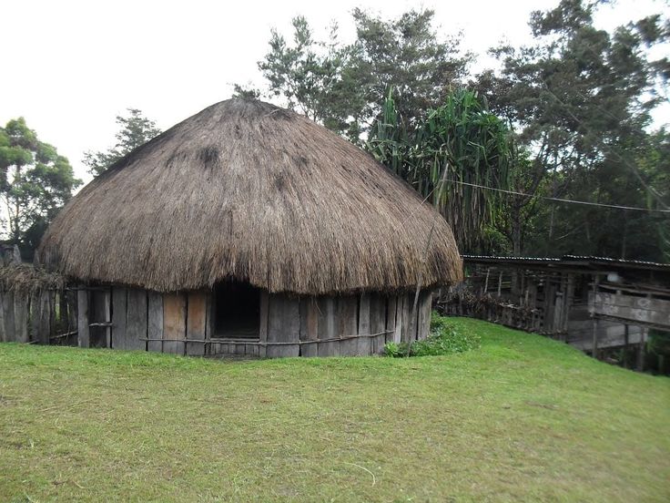 Rumah Honai: Simbol Kehangatan dari Tanah Papua